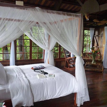 Rio Magnolia Nature Lodge Tinamaste Luaran gambar