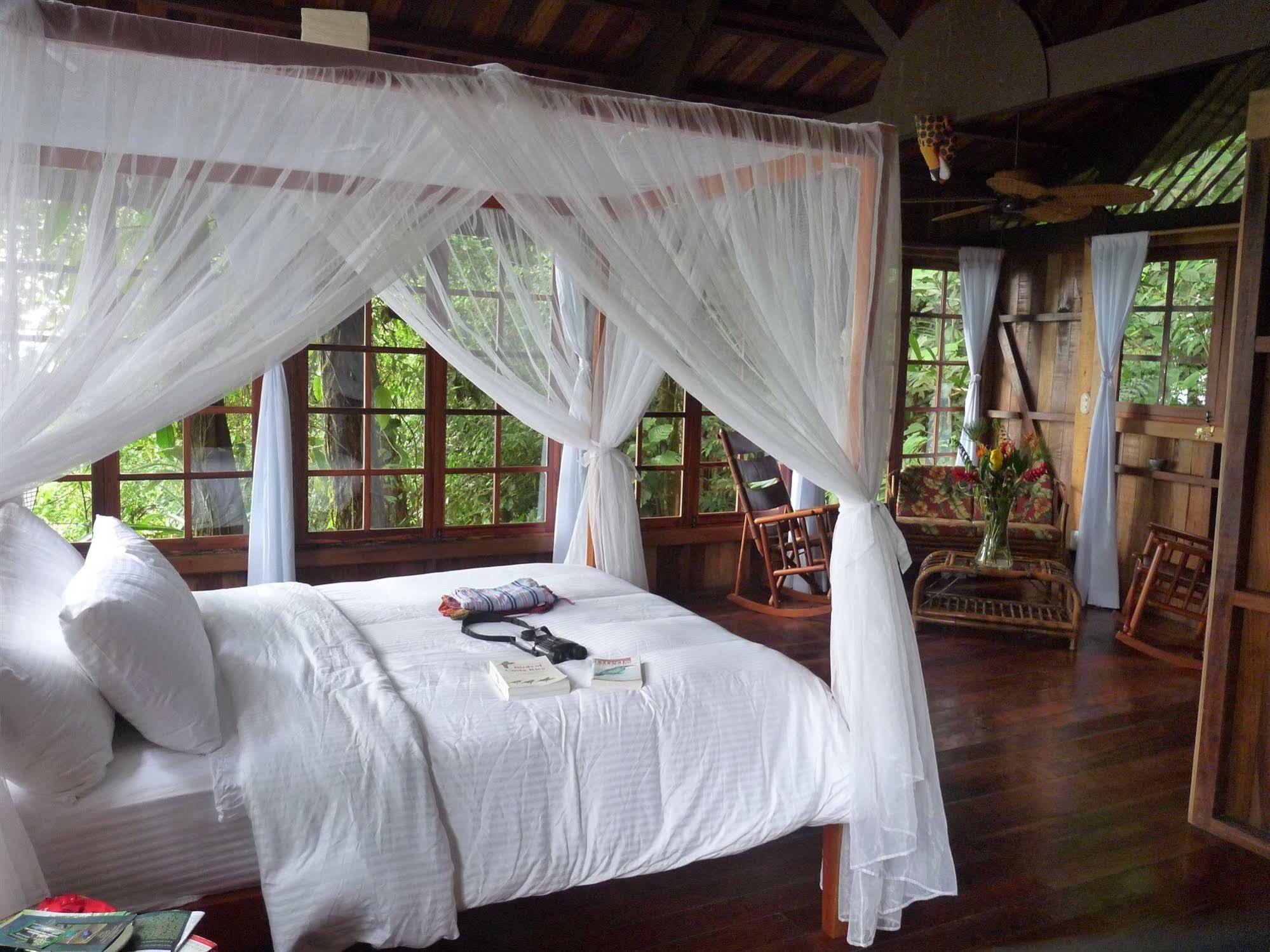 Rio Magnolia Nature Lodge Tinamaste Luaran gambar