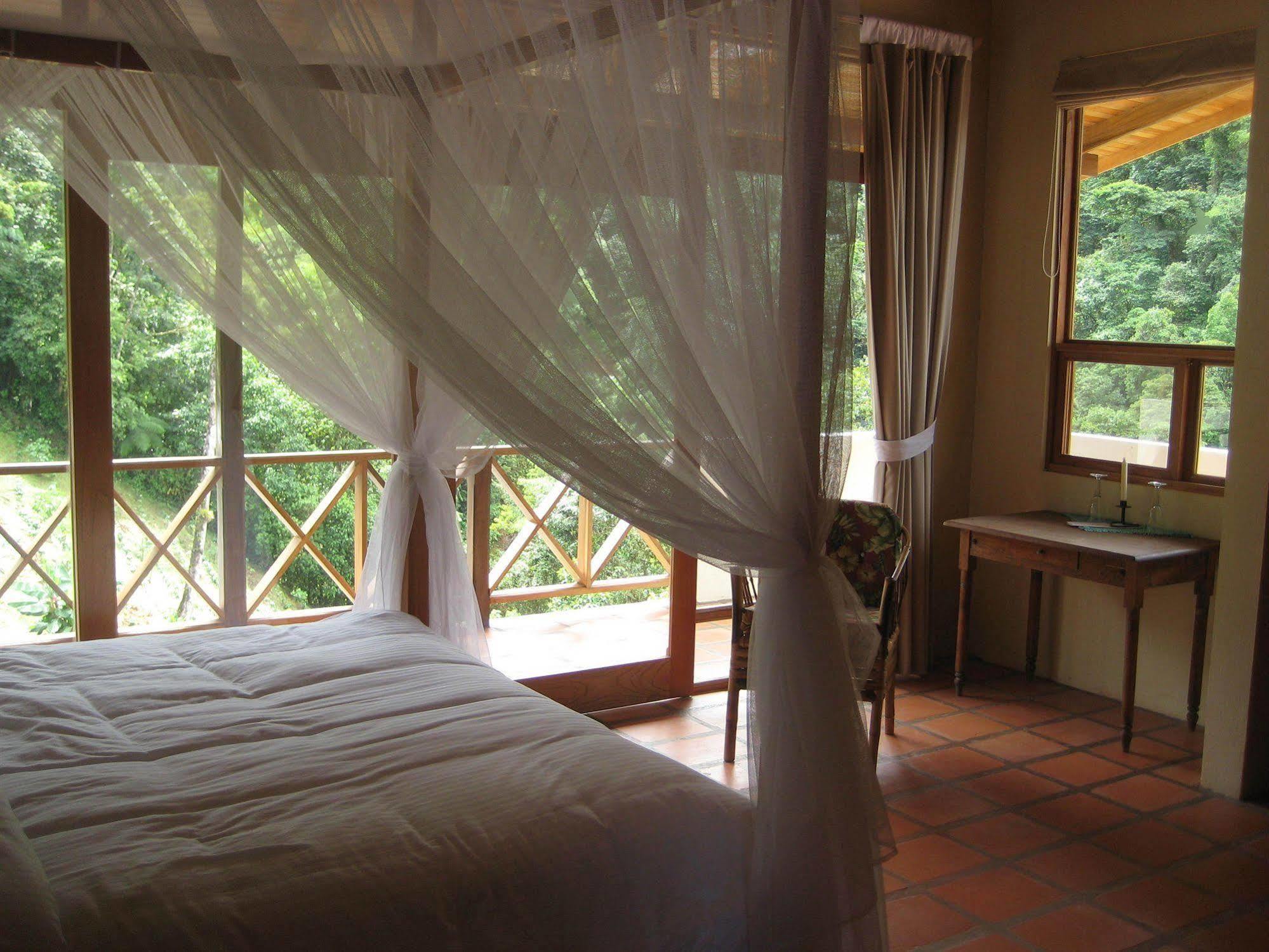 Rio Magnolia Nature Lodge Tinamaste Luaran gambar